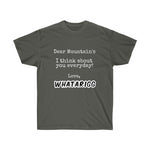 Unisex Ultra Cotton Tee
