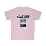 Unisex Ultra Cotton Tee